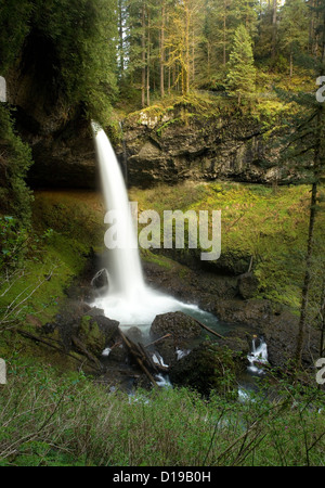 OR00644-00... OREGON - Norden fällt in Silver Falls State Park; einen gemäßigten Regenwald an der Basis der Cascade Mountains. Stockfoto