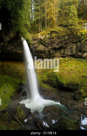 OREGON - Norden fällt in Silver Falls State Park befindet sich in der gemäßigten Regenwald an der Basis der Cascade Mountains. Stockfoto