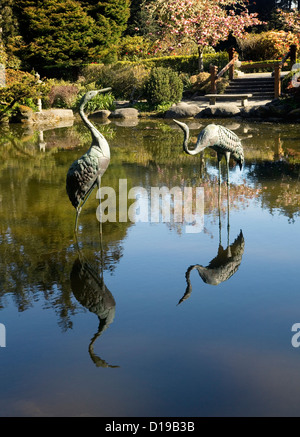 OR00658-00... OREGON - Teich und formale Gärten im Shore Acres State Park befindet sich an der pazifischen Küste in der Nähe von Charleston. Stockfoto