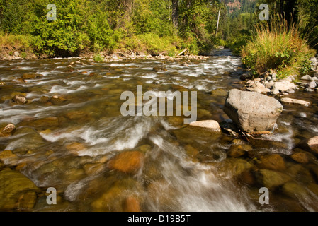 OREGON - der Wenaha-Fluss in der Wenaha - Tucannon Wildnis Bereich Teil der Blue Mountains in der Umatilla National Forest Stockfoto