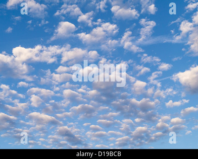 Altocumulus-Wolken am blauen Himmel Stockfoto