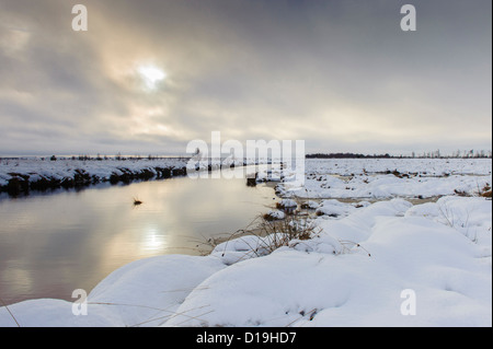 Winter im Moor, Goldenstedter Moor, Diepholzer Moorniederung, Niedersachsen, Deutschland Stockfoto