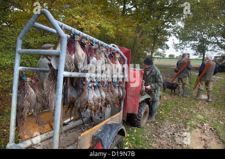 Tote Fasane und Rebhühner auf Spiel zu schießen Stockfoto