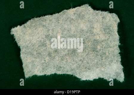 Weiße zerrissenes Papier auf dunkelgrünen Hintergrund Stockfoto