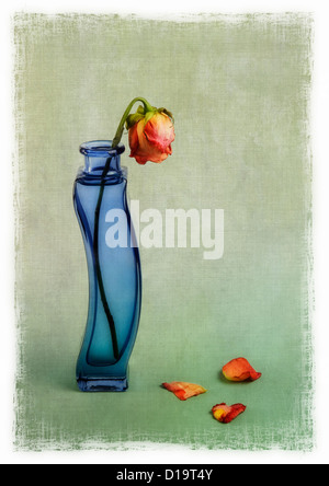 Welke Rose in blau Vase mit Textur Overlay Stockfoto