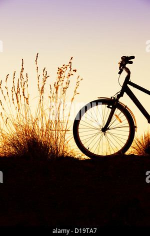 Fahrrad unter den Gräsern bei Sonnenuntergang. Indien. Silhouette Stockfoto