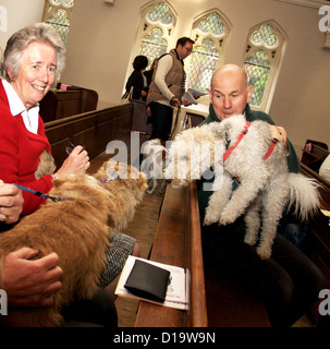 PET-Segenszeremonie in der Kirche. SE London Stockfoto