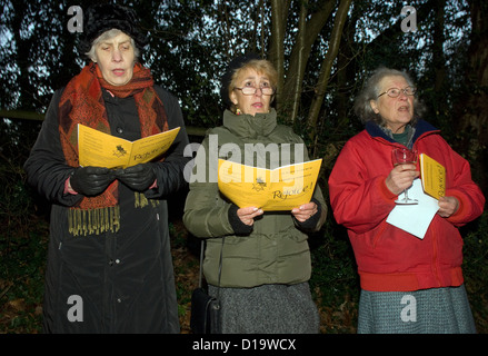 Lokale ältere Bewohner Gesang an einem Abend im Freien carol Service zur Weihnachtszeit, Farnham, Surrey, Großbritannien. Stockfoto