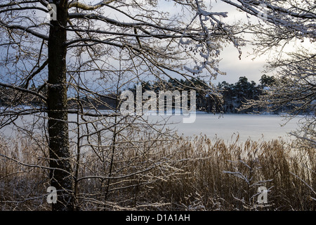Winter Hintergrund in Lidingö in der Nähe von Stockholm in Schweden Stockfoto