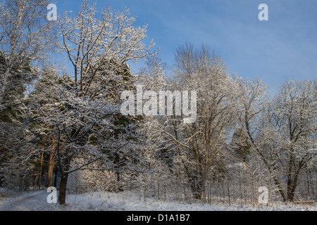 Winter Hintergrund in Lidingö in der Nähe von Stockholm in Schweden Stockfoto