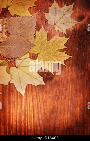 Herbst Hintergrund mit Blättern auf Holzbrett Stockfoto