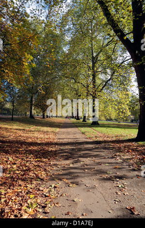 Herbstlaub auf einem Pfad durch den Hyde Park, London, UK. Stockfoto