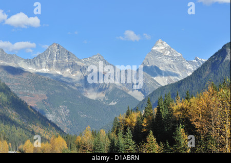 Herbstfarben in den kanadischen Rocky Mountains, Alberta, Kanada Stockfoto