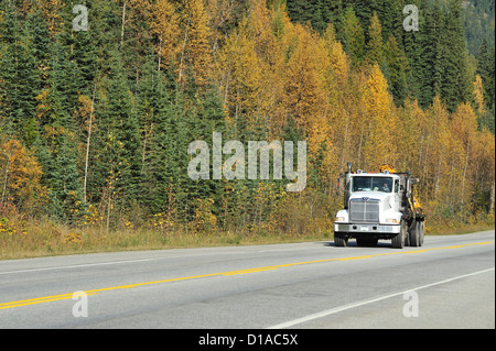 Icefields Parkway - Straße durch Banff und Jasper Nationalparks, Alberta, Kanada Stockfoto