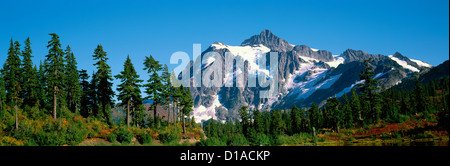 Mt Shuksan über "Heather Wiesen" Almwiese in Mount Baker-Snoqualmie National Forest Area, Washington USA - Panorama Stockfoto