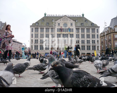 Amsterdam, Niederlande, Tauben vor Peek & Cloppenburg am Dam-Platz Stockfoto