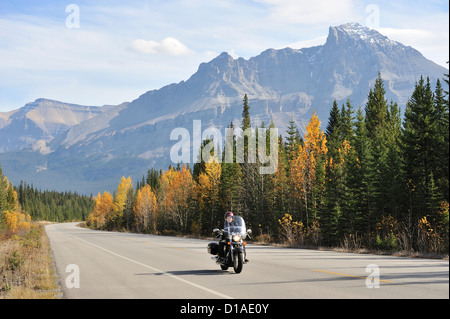 Icefields Parkway - Straße durch Banff und Jasper Nationalparks, Alberta, Kanada Stockfoto