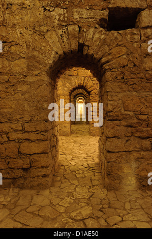 Römischen Kryptoportikus unter dem Museum Machado de Castro in Coimbra, Portugal, Europa Stockfoto