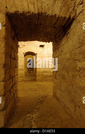 Römischen Kryptoportikus unter dem Museum Machado de Castro in Coimbra, Portugal, Europa Stockfoto