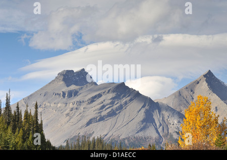 Herbstfarben in den kanadischen Rocky Mountains, Alberta, Kanada Stockfoto