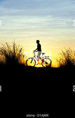 Indianerjunge Reiten Fahrrad unter den Gräsern bei Sonnenuntergang. Silhouette. Indien Stockfoto