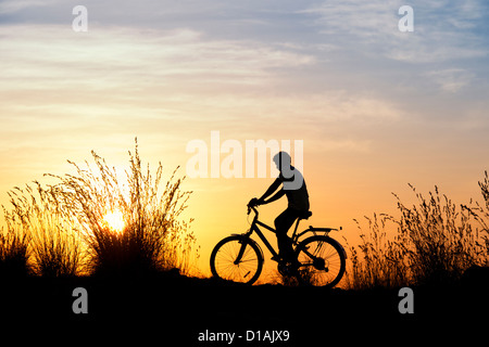 Indianerjunge Reiten Fahrrad unter den Gräsern bei Sonnenuntergang. Silhouette. Indien Stockfoto