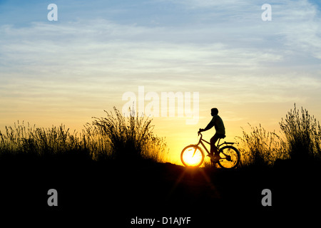 Indianerjunge Reiten Fahrrad unter den Gräsern bei Sonnenuntergang. Silhouette. Indien Stockfoto