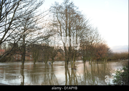 Überschwemmungen in Norton bei Derwent, North Yorkshire, Dezember 2012 Stockfoto