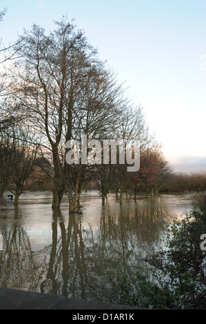 Überschwemmungen in Norton bei Derwent, North Yorkshire, Dezember 2012 Stockfoto