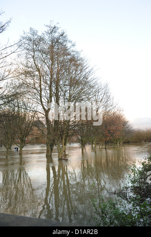 Überschwemmungen in Norton bei Derwent, North Yorkshire, Dezember 2012 Stockfoto