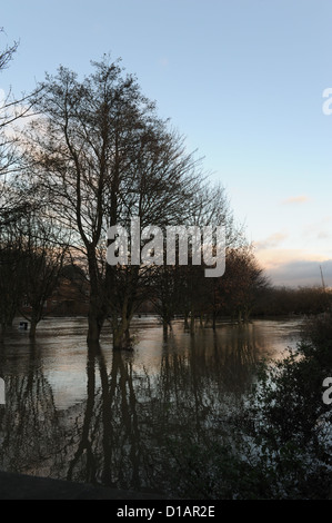 Überschwemmungen in Norton bei Derwent, North Yorkshire, Dezember 2012 Stockfoto