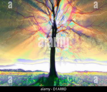 DIGITALE Kunst: Der Baum (Deutschland/Bayern) Stockfoto