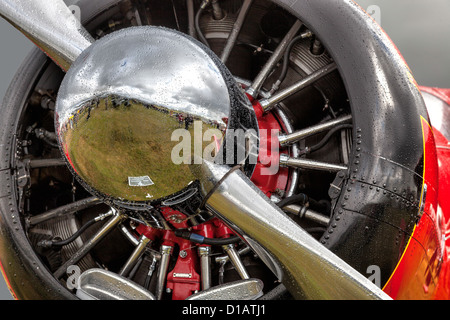 Nahaufnahme von roten Rockette Stockfoto