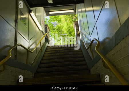U-Bahn-Schritte auf der Suche nach oben, grüner Baum draußen, gelbes Geländer Stockfoto