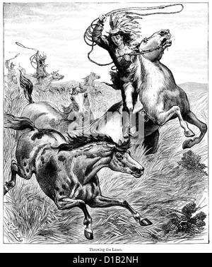 Viktorianische Gravur der indianischen wirft ein Lasso über ein wildes Pferd Stockfoto