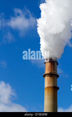Rauch und Dampf Emission an die TECO Tampa Big Bend Kraftwerk befindet sich im Apollo Beach, Florida, USA. Stockfoto