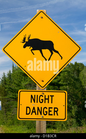 Straßenschild entlang Highway 61 Warnung von Moose Crossing in Ontario, Kanada. Stockfoto