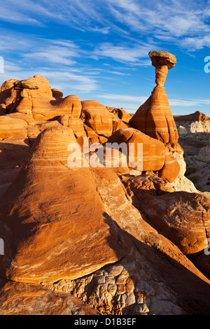 Toadstool Hoodoos Paria Rimrocks in der Nähe von Kanab, Grand Staircase-Escalante National Monument, Utah, USA Stockfoto