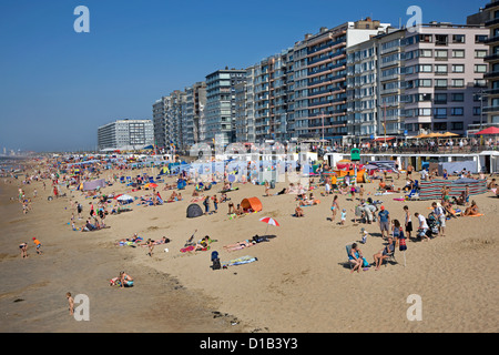 Sonnenbaden im Sommer Sonnen hinter Bildschirmen und Windschutz am Strand entlang der Nordseeküste im belgischen Badeort, Belgien Stockfoto