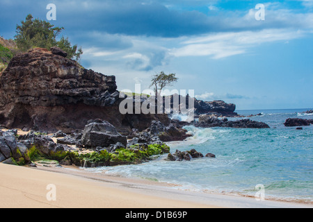 Waimea Bay Oahu Hawaii Shore Wellen Nordstrand Stockfoto