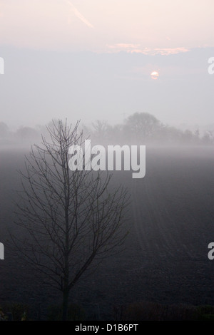 Pattensen, Deutschland, Sonnenaufgang mit Morgennebel über Felder Stockfoto