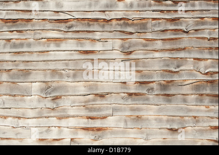 Stufenfalz Holzplatten auf der Seite einer Scheune.  Ein potenzieller Hintergrundbild Stockfoto