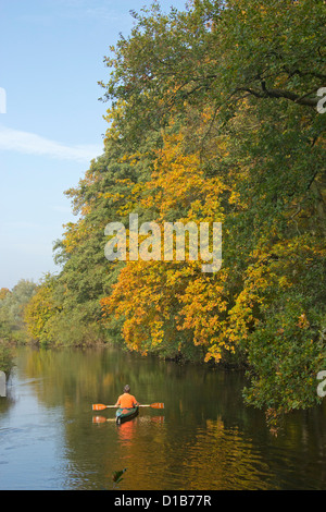 Herbst Eindruck, Ilmenau River in der Nähe von Deutsch Evern, Niedersachsen, Deutschland Stockfoto