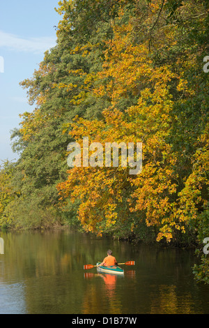 Herbst Eindruck, Ilmenau River in der Nähe von Deutsch Evern, Niedersachsen, Deutschland Stockfoto