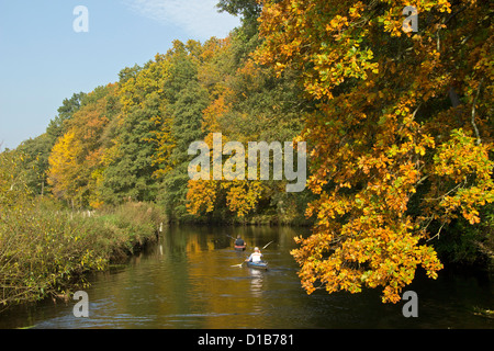 Herbst Eindruck, Ilmenau River in der Nähe von Deutsch Evern, Niedersachsen, Deutschland Stockfoto