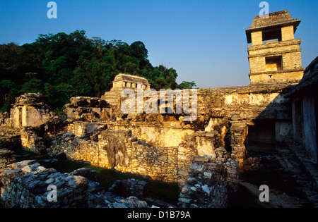 Der Palast (El Palacio) und der Tempel der Inschriften im Hintergrund.  Archäologische Stätte Palenque, Bundesstaat Chiapas, Mexico Stockfoto