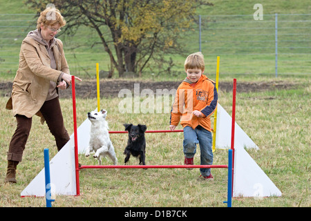 Junge, die Teilnahme an einem Beweglichkeitstraining in einer Hundeschule Stockfoto