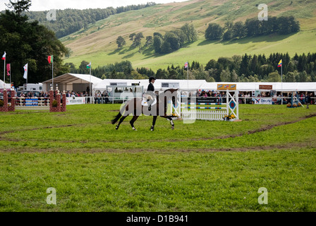 Frau Springreiter auf ein rotes Pferd in der Springreiterei Arena Stockfoto