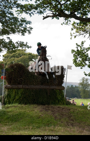 Reiterin einen Pinsel Zaun auf einem Bucht Pferd springen Stockfoto