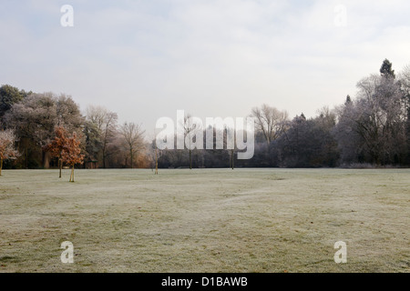 Solihull Parks, Brueton und Malvern während kalten Winterwetter in frost Stockfoto